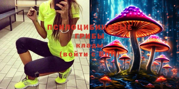тгк Алексеевка