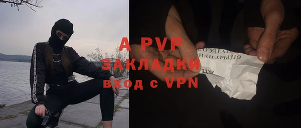 СК Алзамай